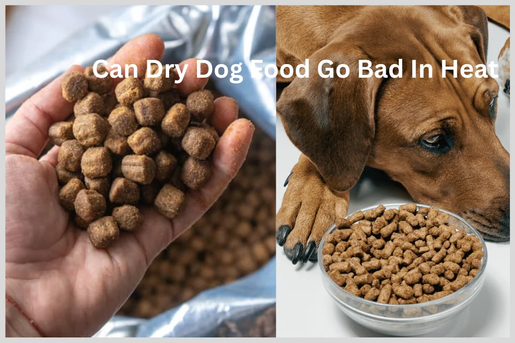 Can Dry Dog Food Go Bad In Heat