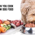 Can You Cook Raw Dog Food