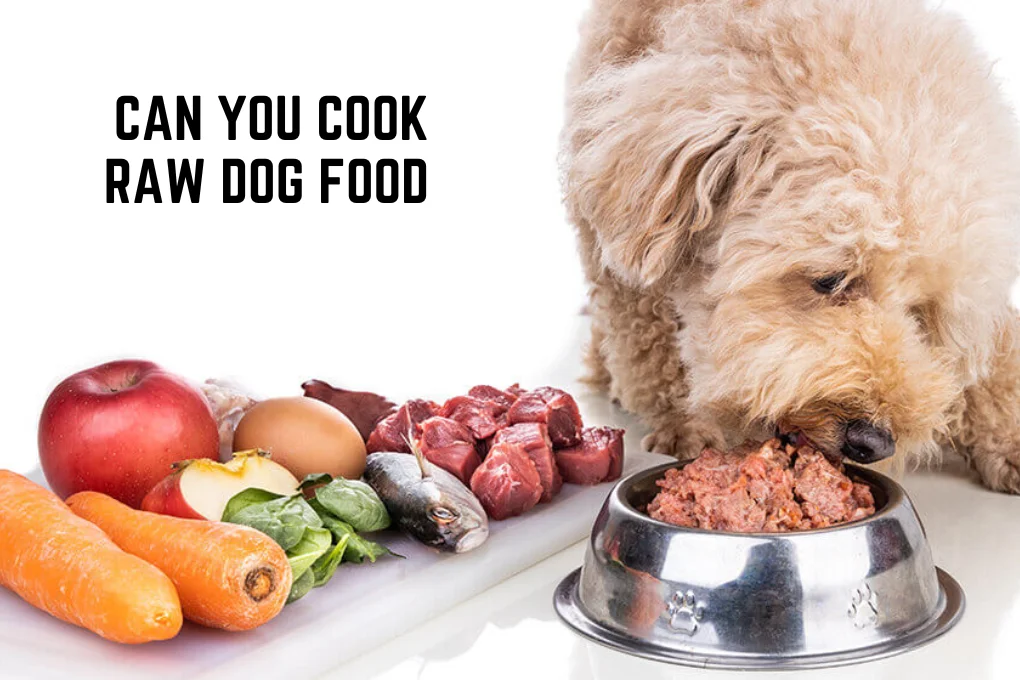 Can You Cook Raw Dog Food