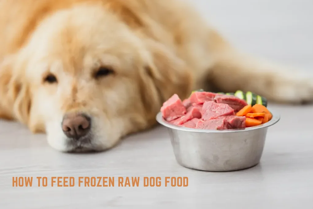 How To Feed Frozen Raw Dog Food