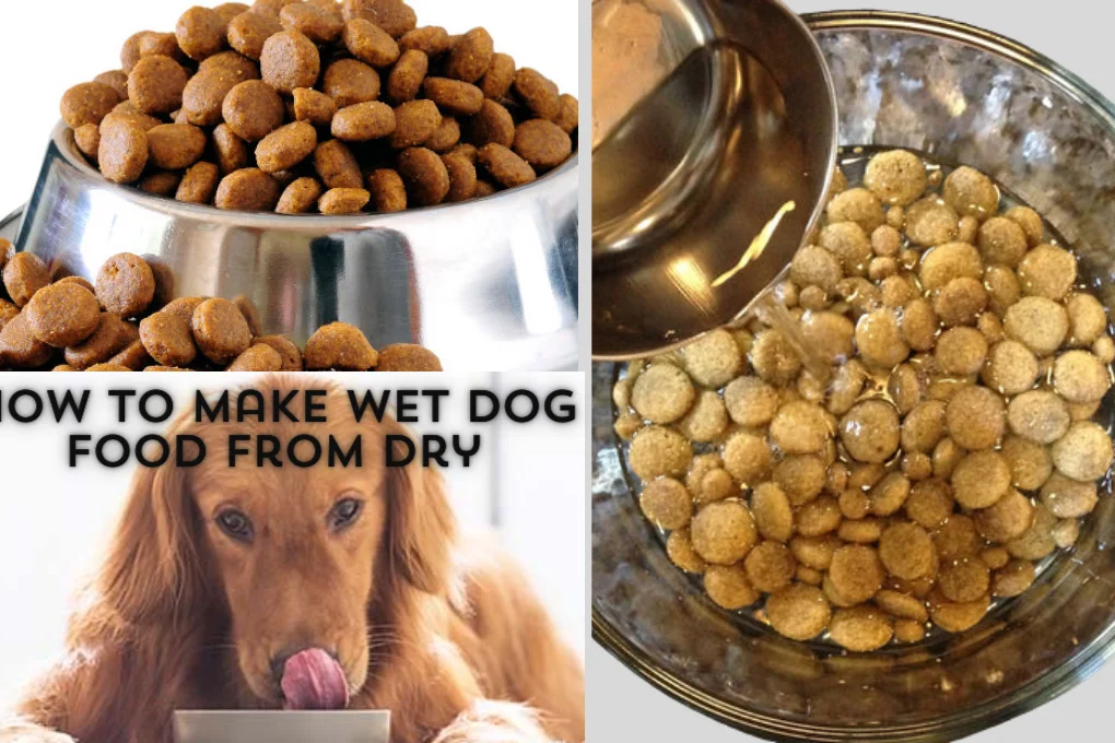 How to Make Wet Dog Food from Dry