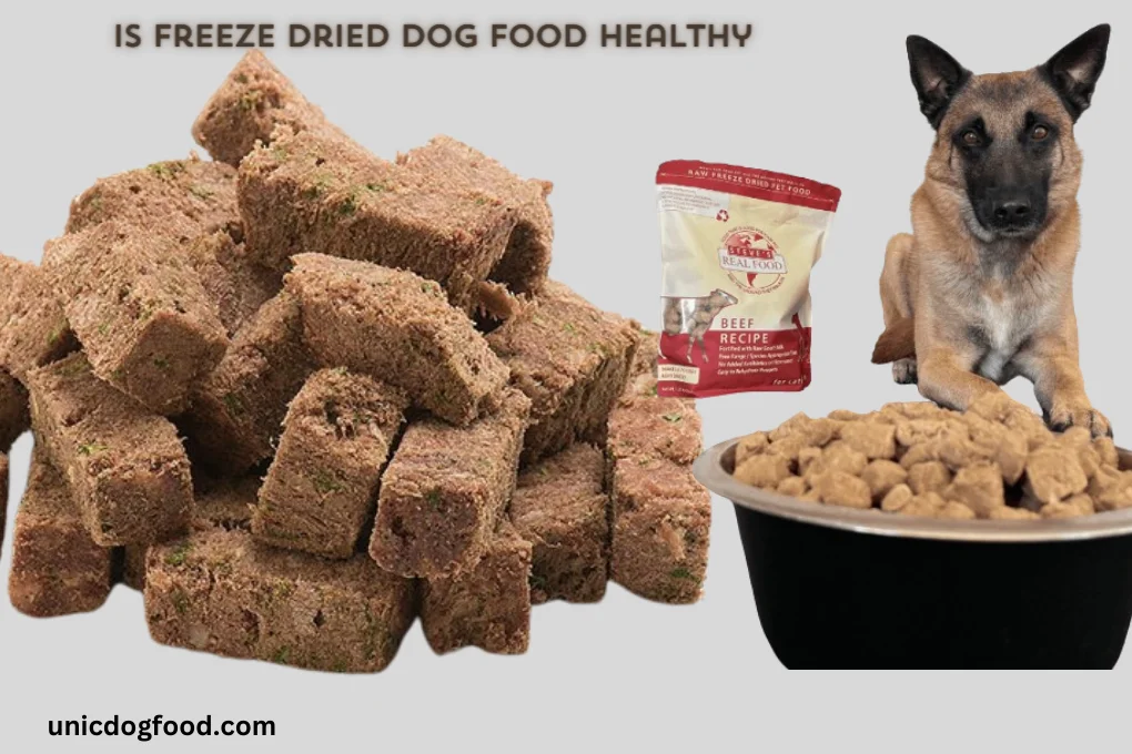 Is Freeze Dried Dog Food Healthy