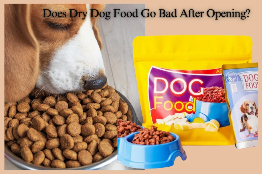 Does Dry Dog Food Go Bad After Opening