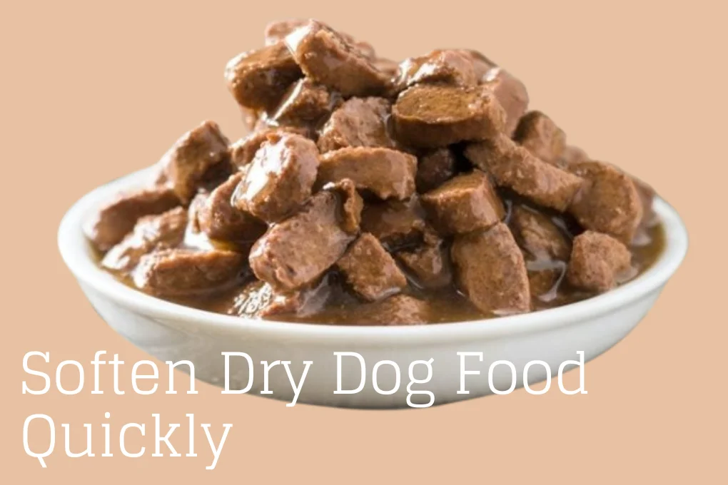 How To Soften Dry Dog Food Quickly