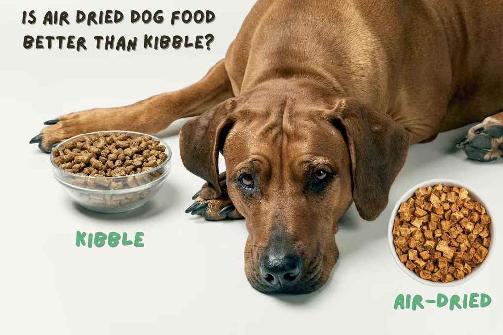 Is Air Dried Dog Food Better Than Kibble