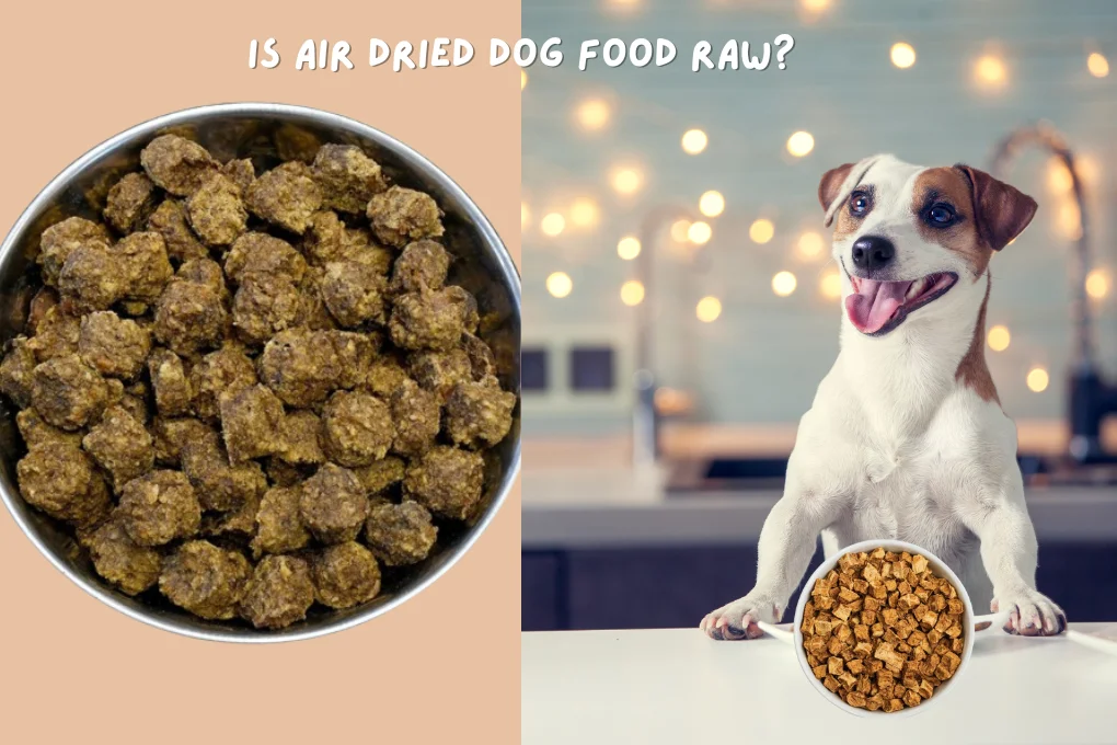 Is Air Dried Dog Food Raw