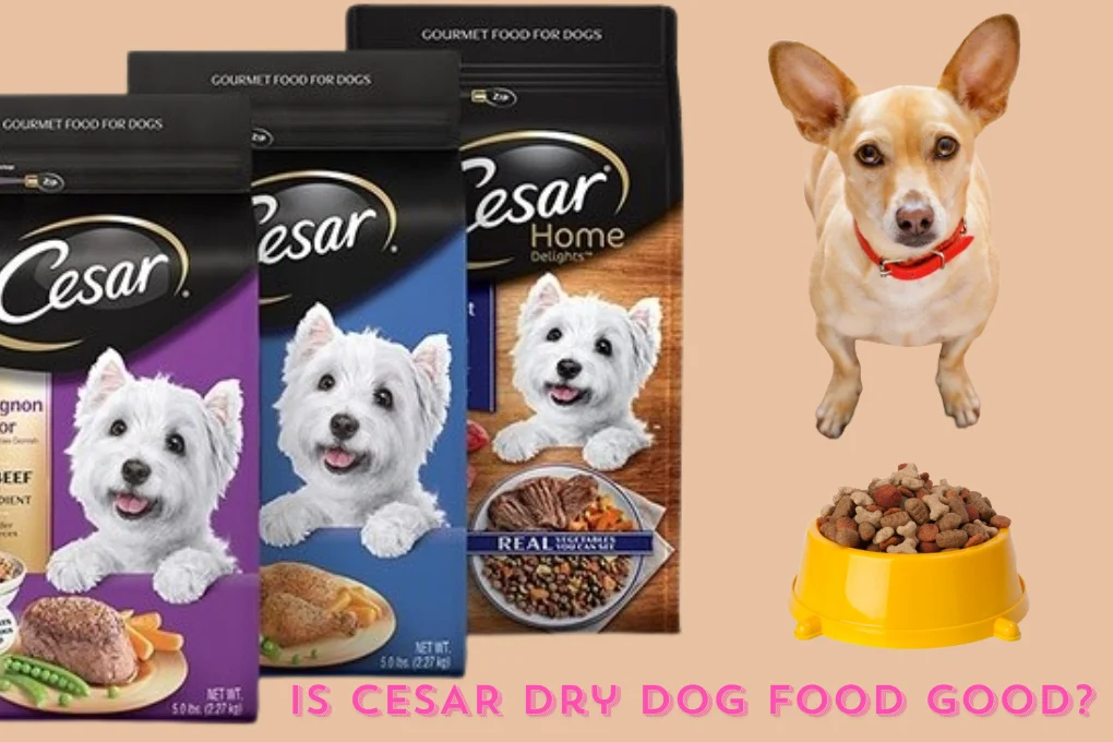 Is CESAR Dry Dog Food Good