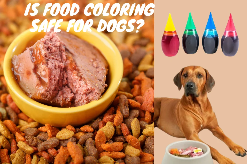 Is Food Coloring Safe For Dogs