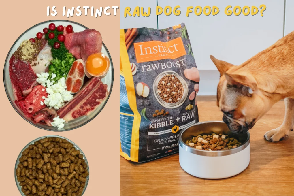 Is Instinct Raw Dog Food Good