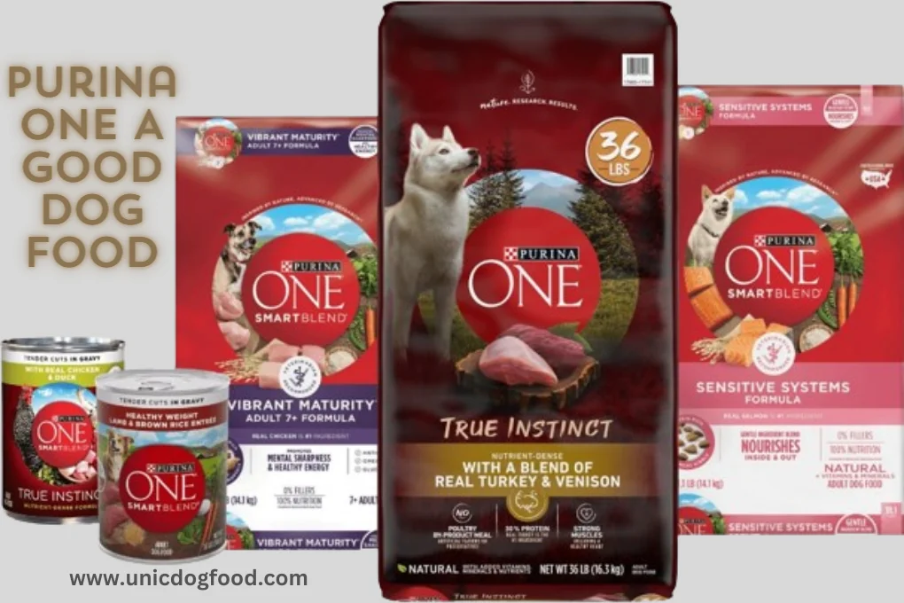 Is Purina One A Good Dog Food