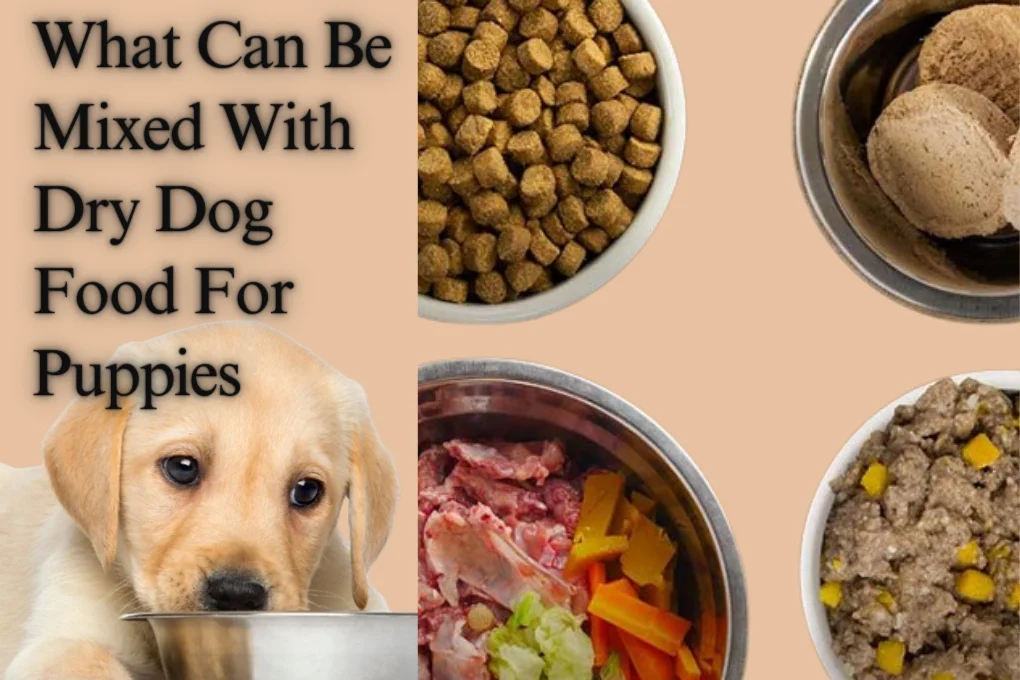 What Can Be Mixed With Dry Dog Food For Puppies