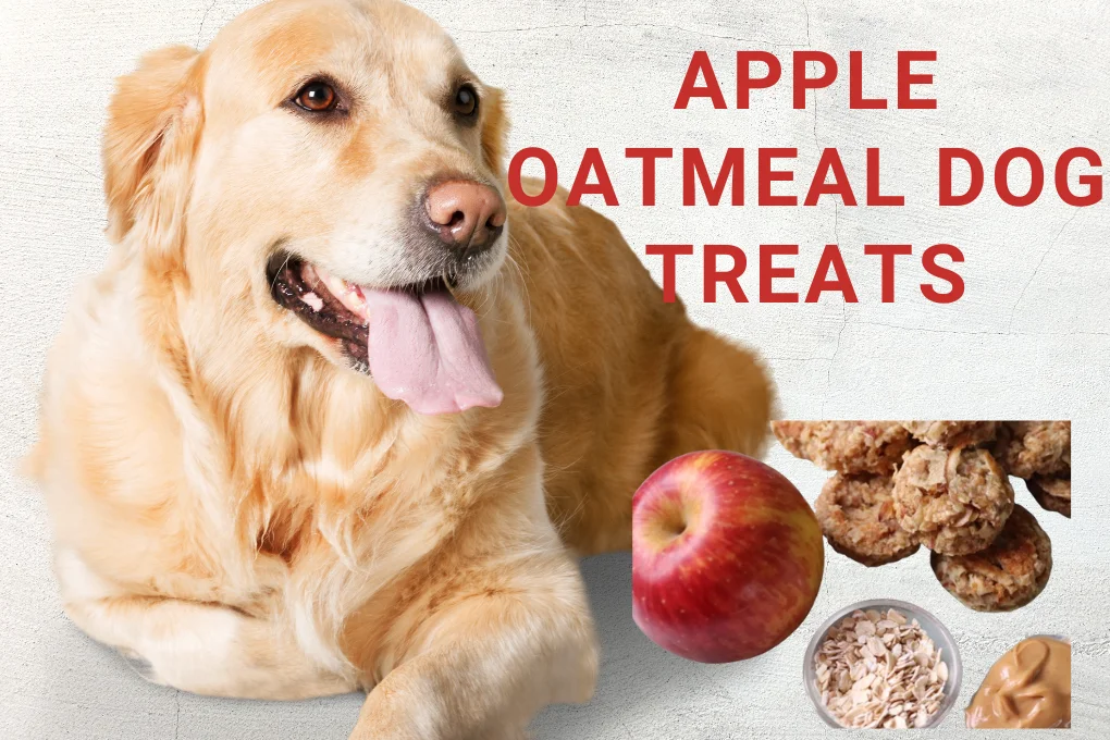 Apple Oatmeal Dog Treats