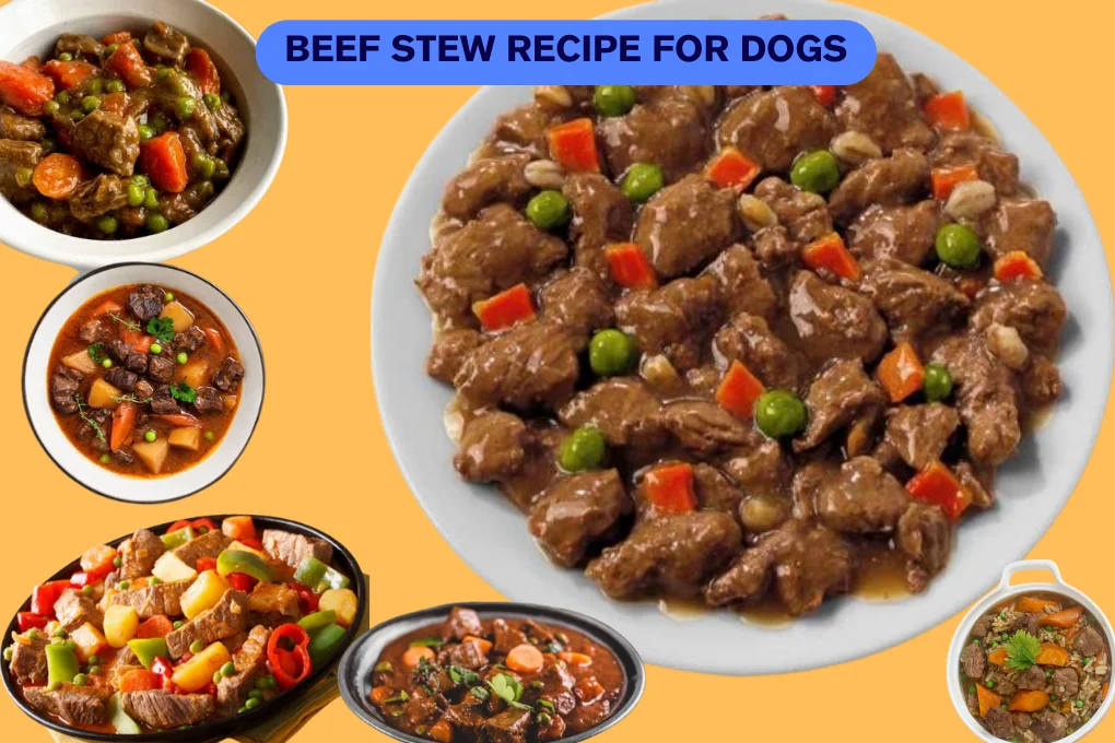 Beef Stew Recipe For Dogs