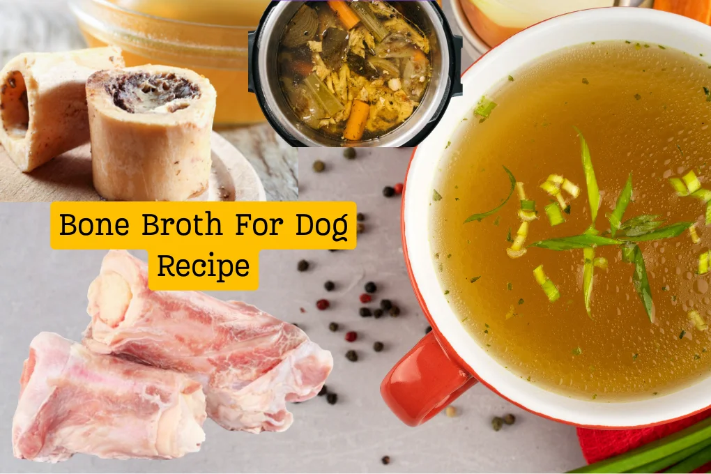 Bone Broth For Dog Recipe
