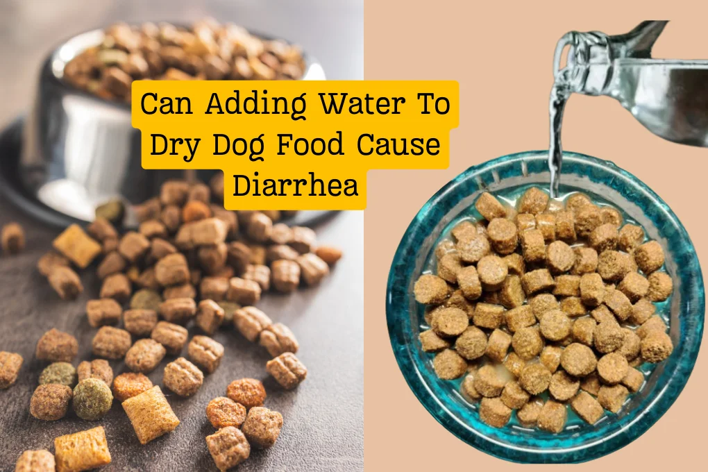 Can Adding Water To Dry Dog Food Cause Diarrhea