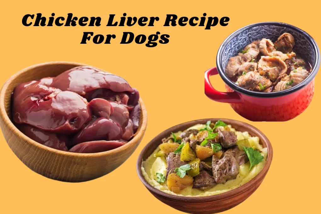 Chicken Liver Recipe For Dogs