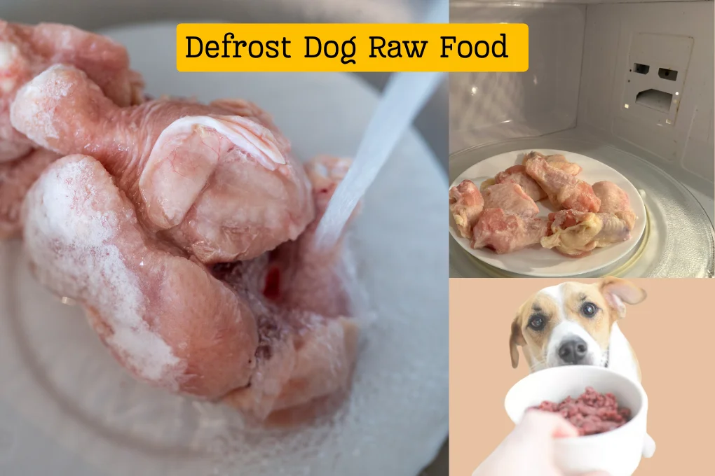 How To Defrost Dog Raw Food