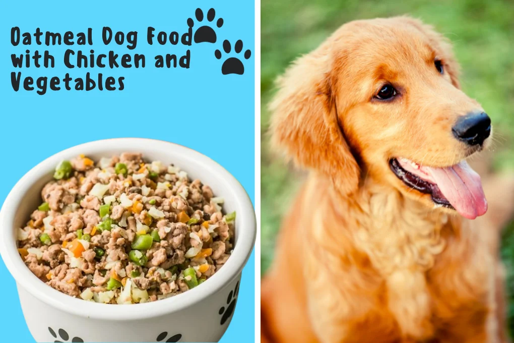 Oatmeal Dog Food with Chicken and Vegetables