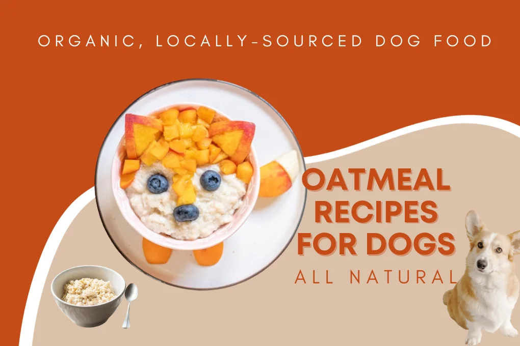 Oatmeal Recipes For Dogs