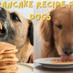 Pancake Recipe For Dogs