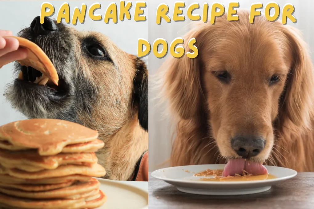 Pancake Recipe For Dogs