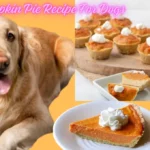 Pumpkin Pie Recipe For Dogs