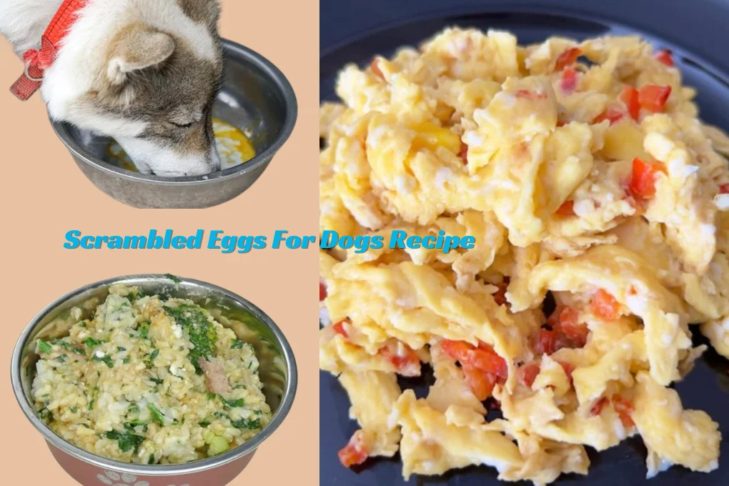 Scrambled Eggs For Dogs Recipe