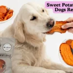 Sweet Potatoes For Dogs Recipe