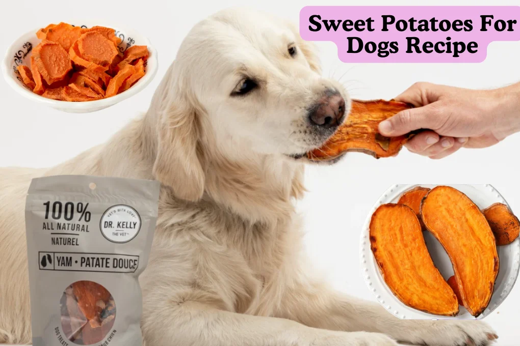 Sweet Potatoes For Dogs Recipe