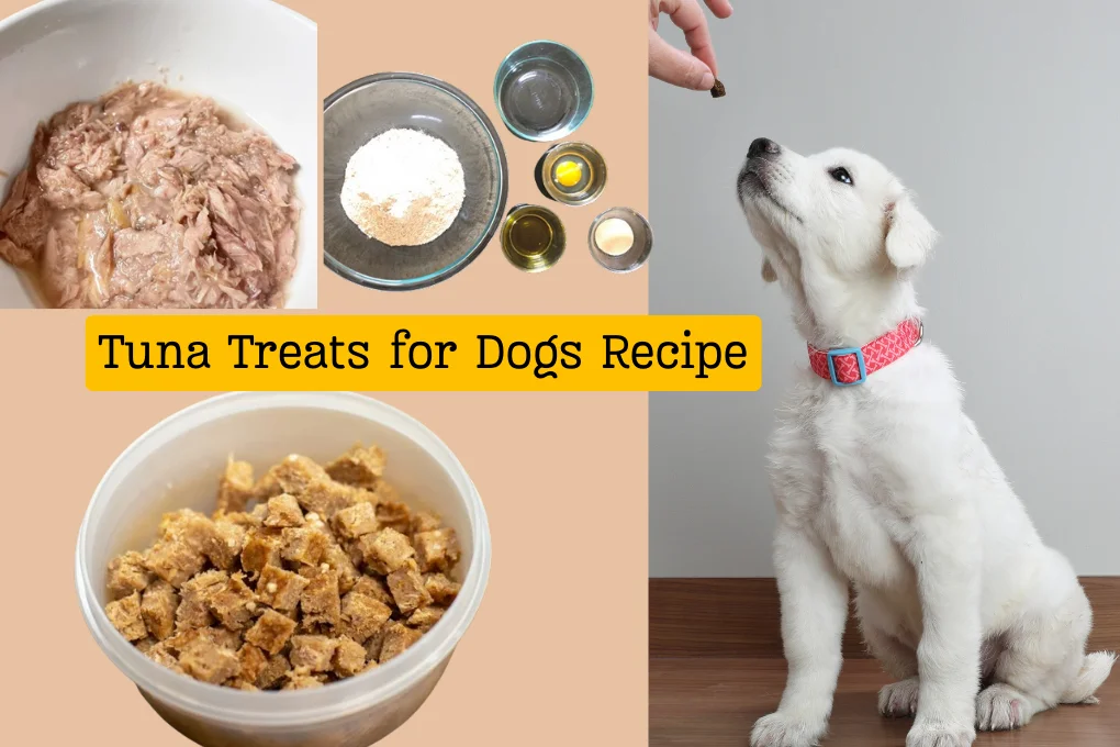 Tuna Treats for Dogs Recipe