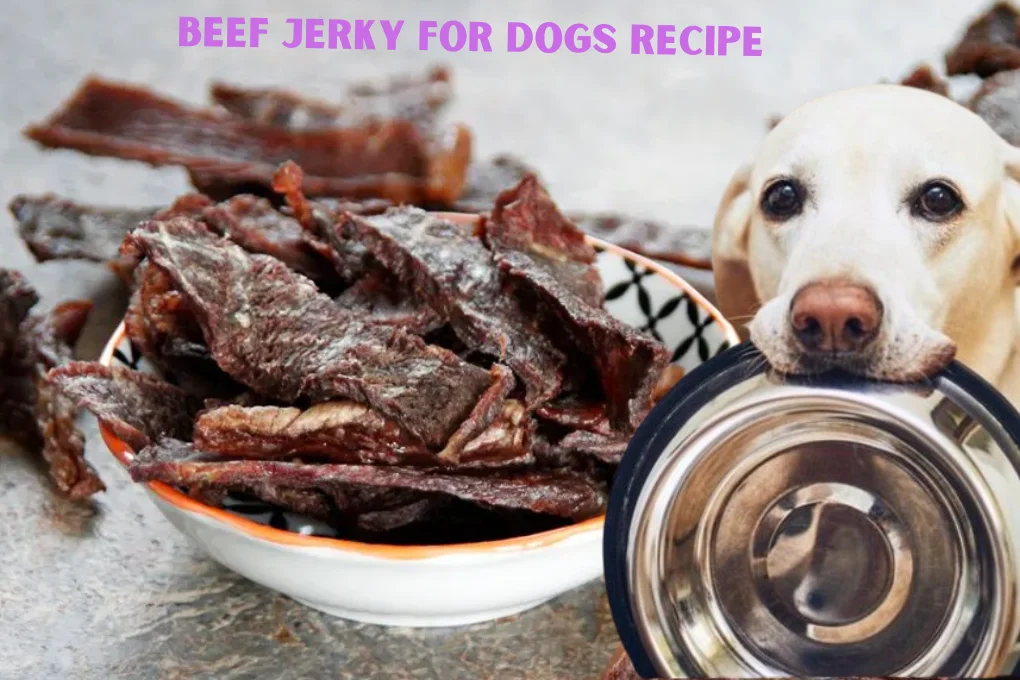 Beef Jerky For Dogs Recipe