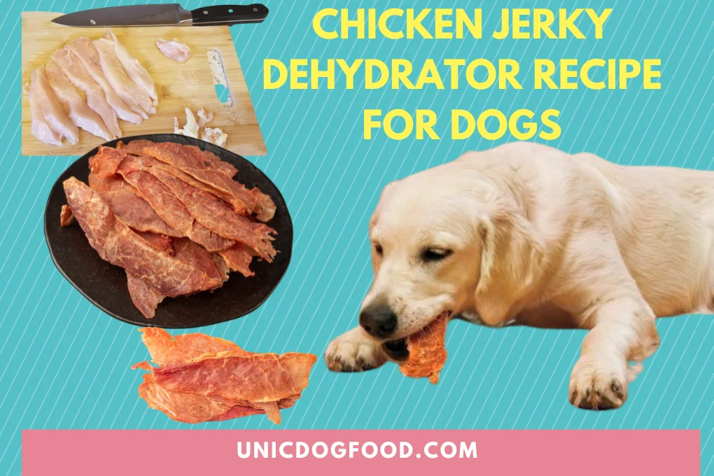 Chicken Jerky Dehydrator Recipe For Dogs