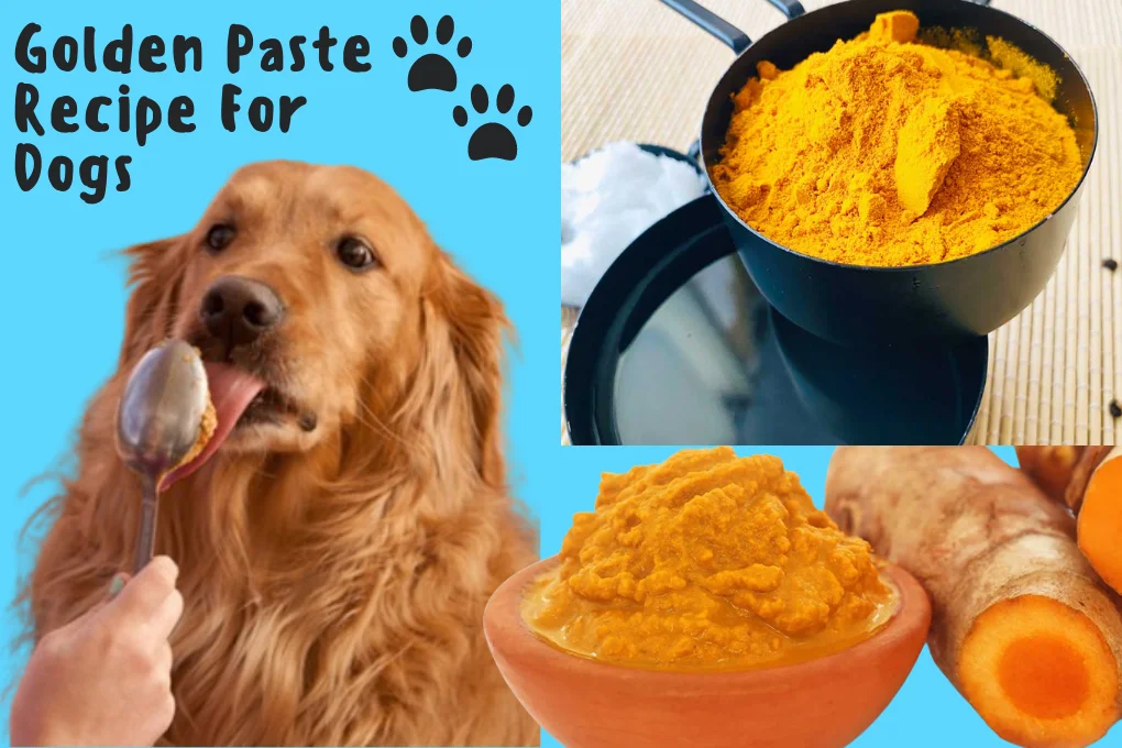 Golden Paste Recipe For Dogs
