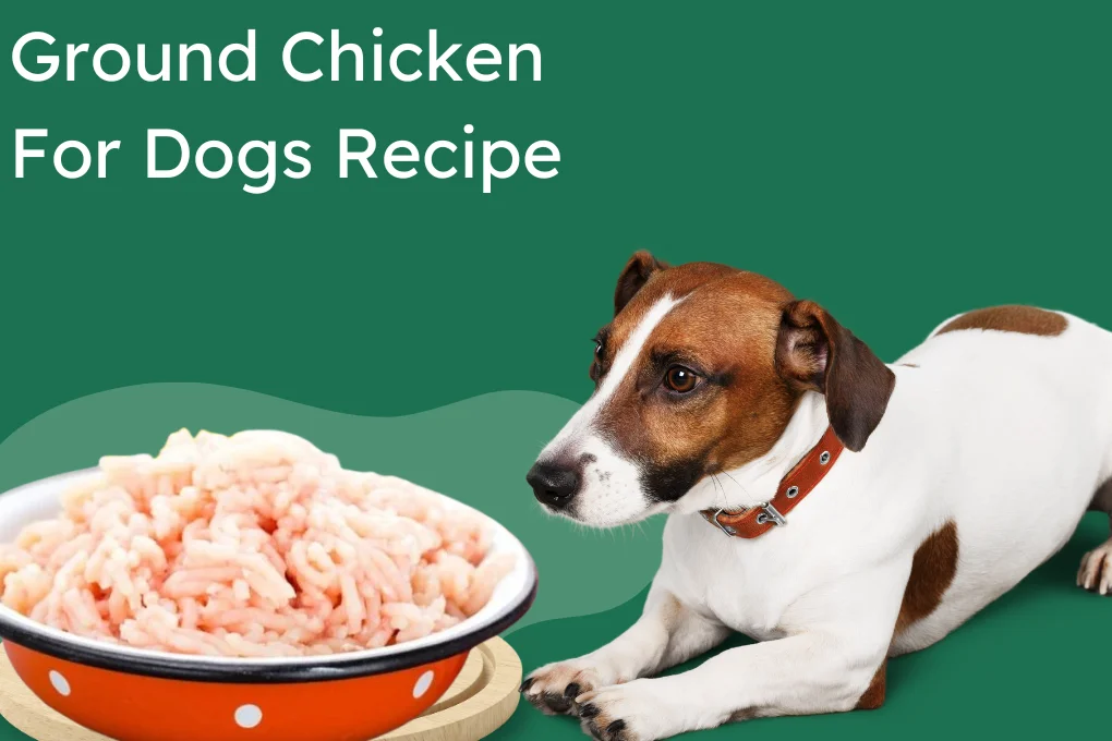 Ground Chicken For Dogs Recipe