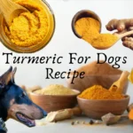 Turmeric For Dogs Recipe