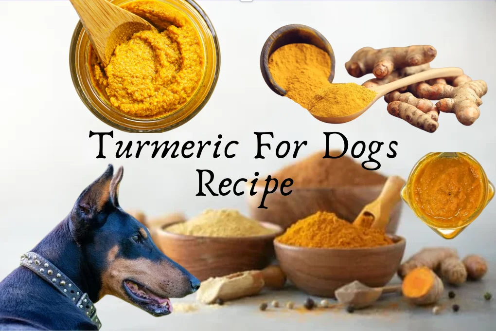 Turmeric For Dogs Recipe