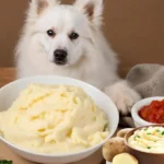 Can Dogs Eat Instant Mashed Potatoes?