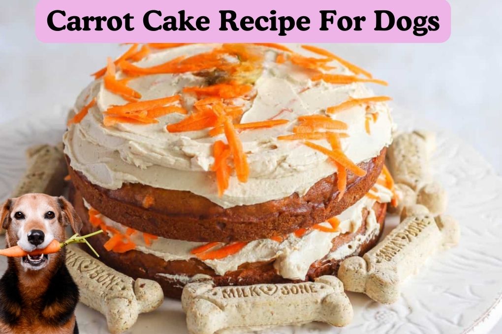 Carrot Cake Recipe For Dogs