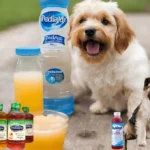 Pedialyte Recipe For Dogs