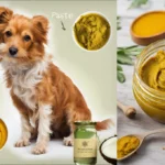 Turmeric Paste For Dogs Recipe