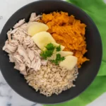 Chicken And Pumpkin Dog Food Recipe